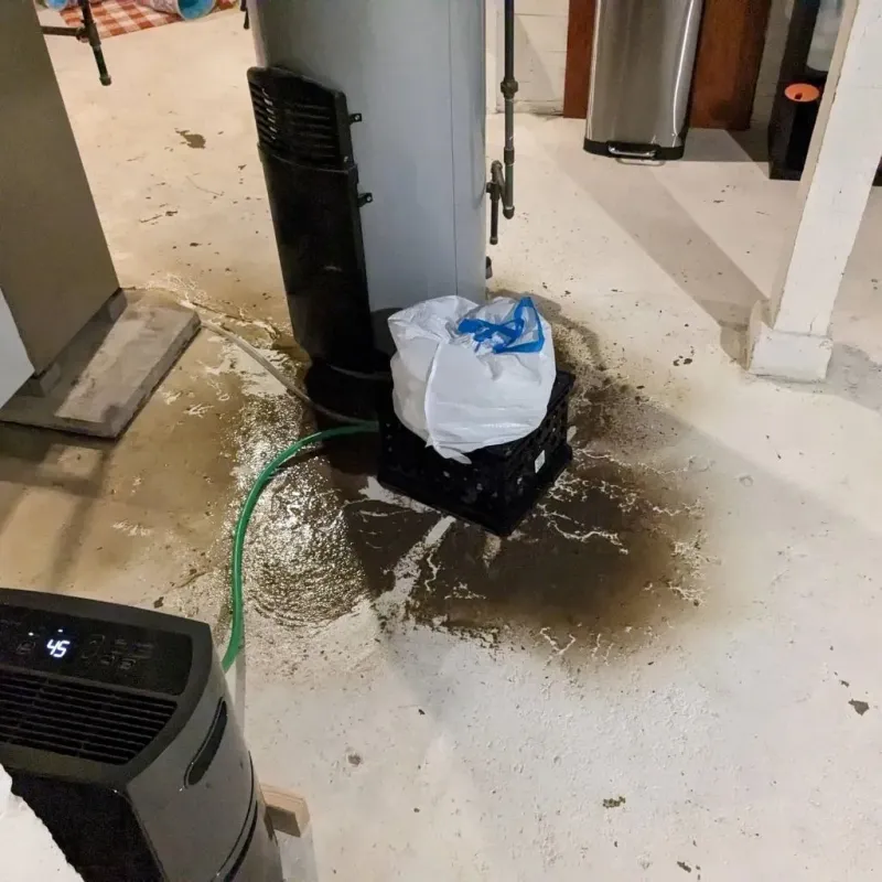 Sewage Backup Cleanup Service in Oroville, CA